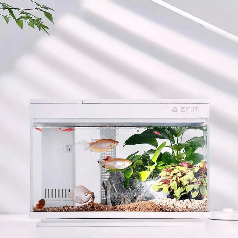 Running tankGeometry S100 15L/30L Smart Temperature Control AI Fish Tank Real Time Monitoring of Water Quality Efficient Filtration APP Controls