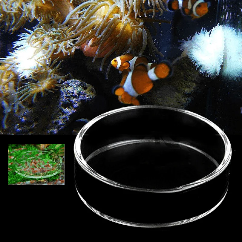 Gym tankClear Aquarium Fish Tank Glass Shrimp Feeding Food Dish Feeder Tray Fish Feeder