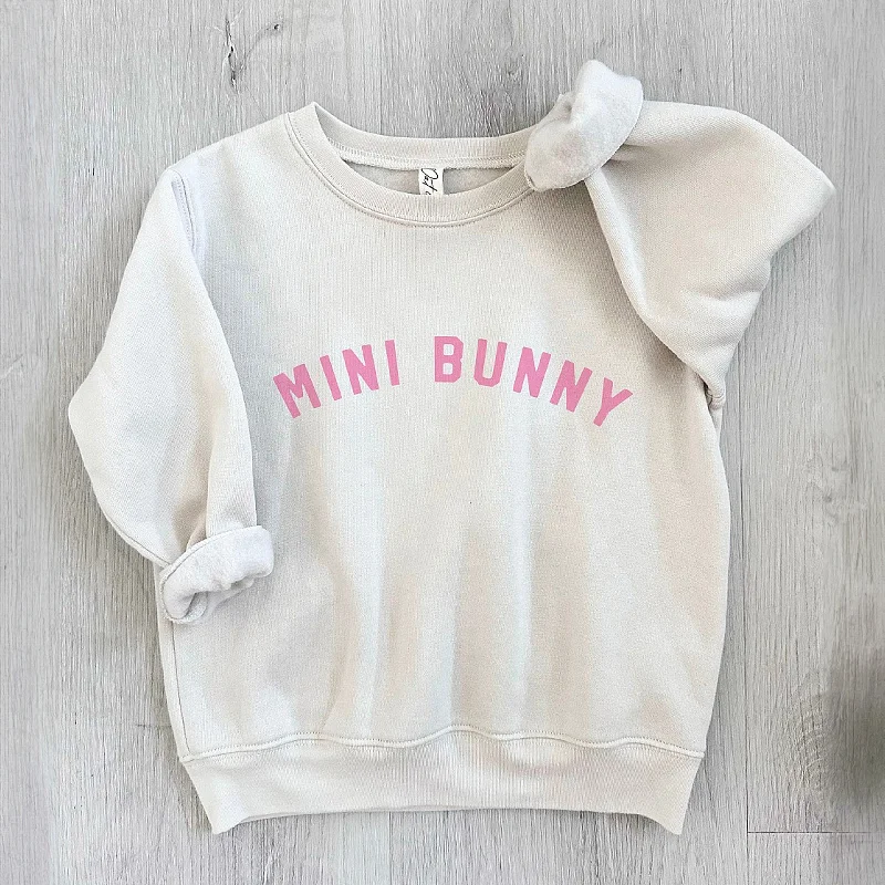 Streetwear Knit TopsMini Bunny Toddler Graphic Sweatshirt, Heather Dust